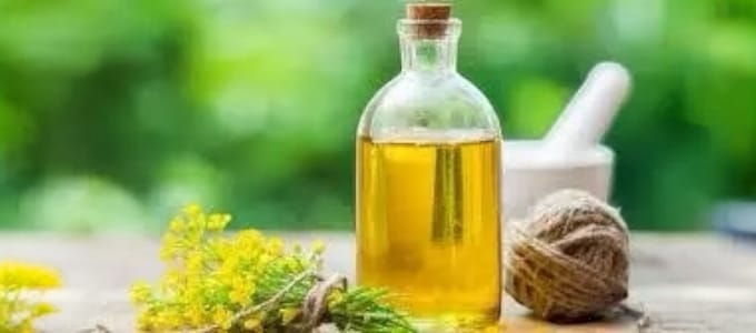 Canola Oil Cooking Benefits
