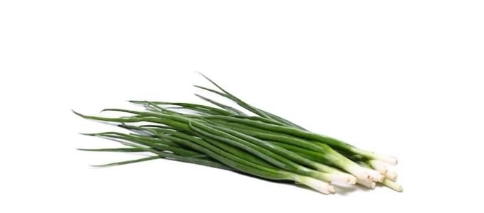 A bundle of fresh green onions with long, slender stalks and white bulbous ends is placed horizontally on a plain white background.