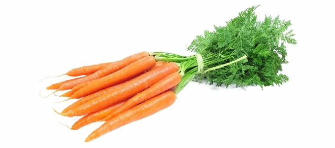 Carrots are sweet tasting vegetables grown in the ground.