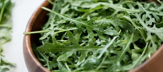 Close-up of fresh arugula leaves in a wooden bowl