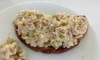 American tuna salad sandwich