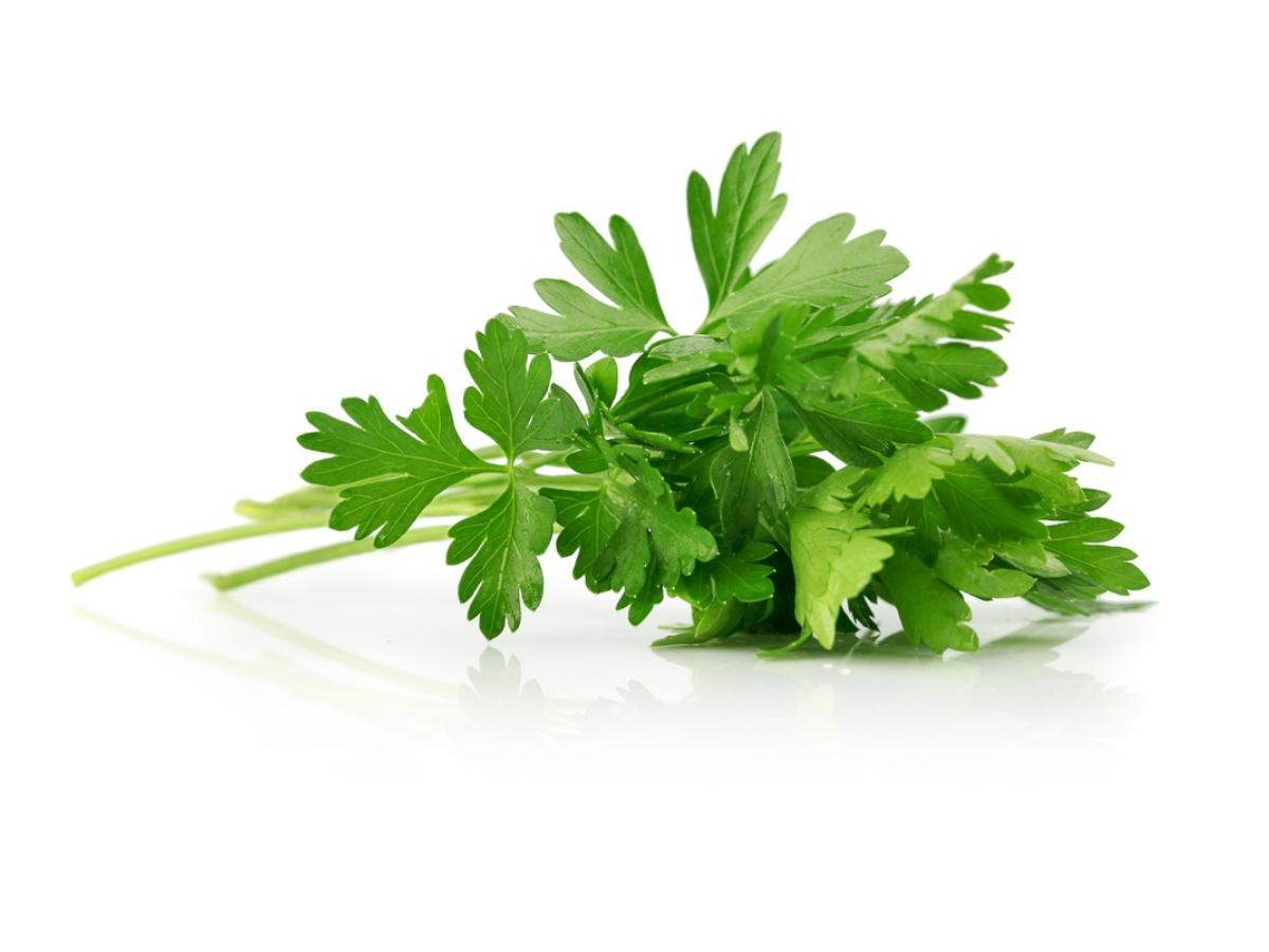 A small bunch of fresh green parsley on a glossy white surface.