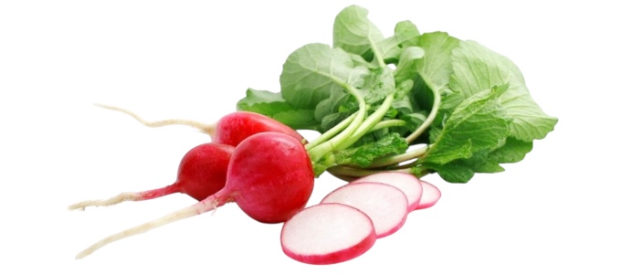 Radish image 
