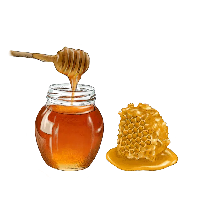 Honey food recipes Ingredients
