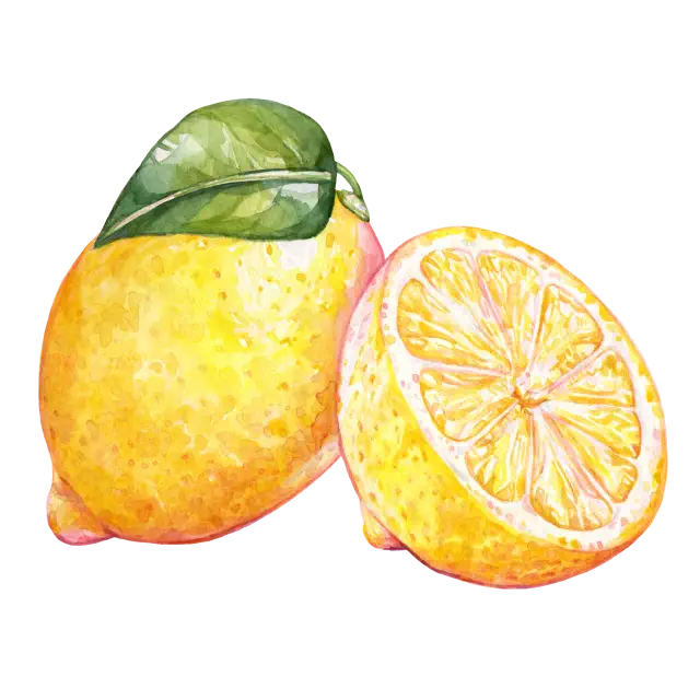 Lemon essential oil offers many benefits and applications.