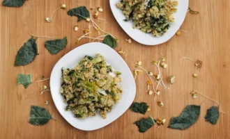 Alfalfa and quinoa bowl with fresh sprouts, vegetables, and herbs