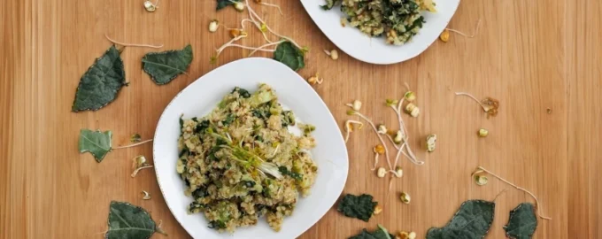 Alfalfa and quinoa bowl with fresh sprouts, vegetables, and herbs