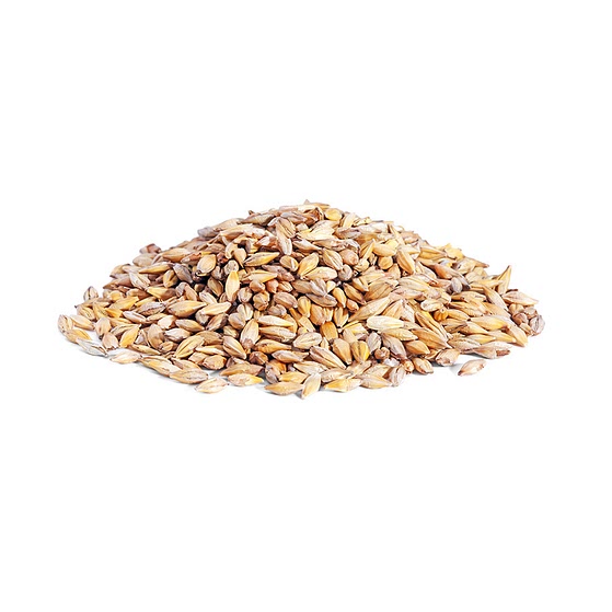 Barley