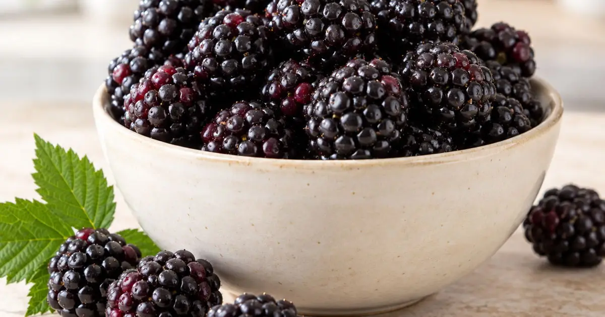 Fresh blackberries in a ceramic bowl with green leaves