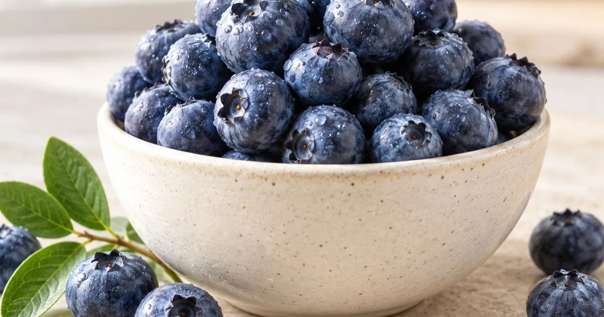 Fresh blueberries in a ceramic bowl with green leaves