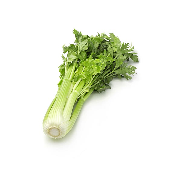 Celery Stalk
