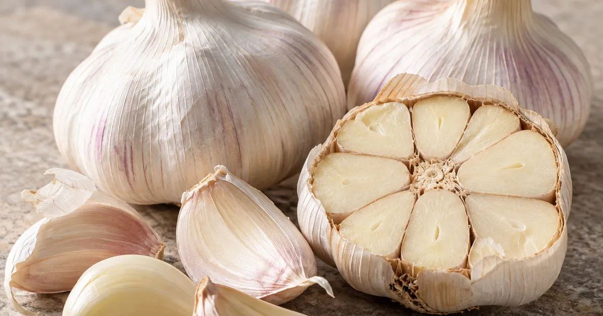 Fresh whole garlic bulbs with peeled cloves and a cut garlic bulb