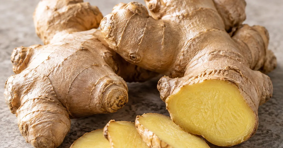 Fresh ginger roots with a cut piece and ginger slices