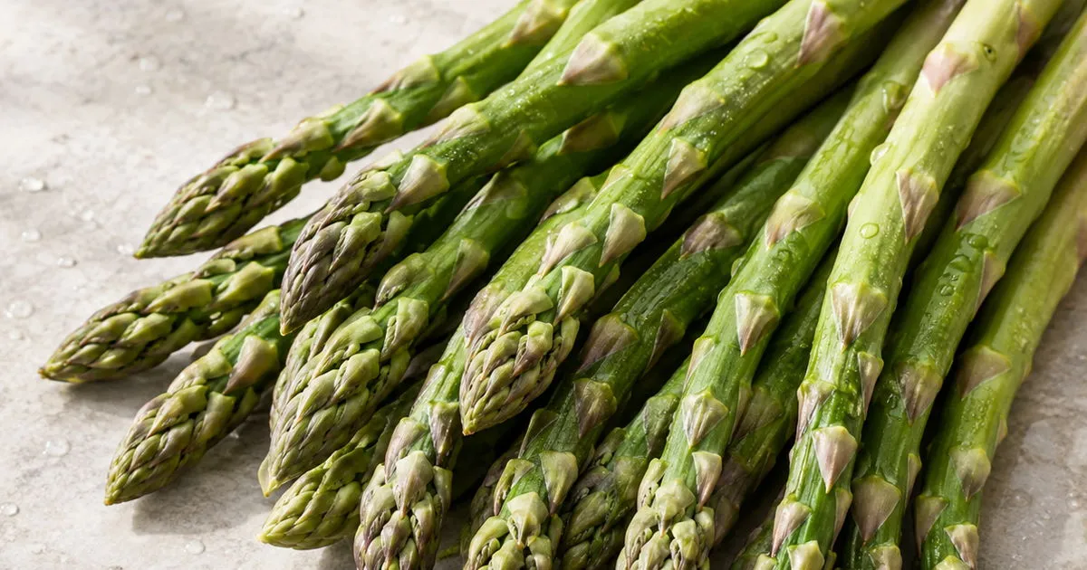 Fresh green asparagus spears with water droplets