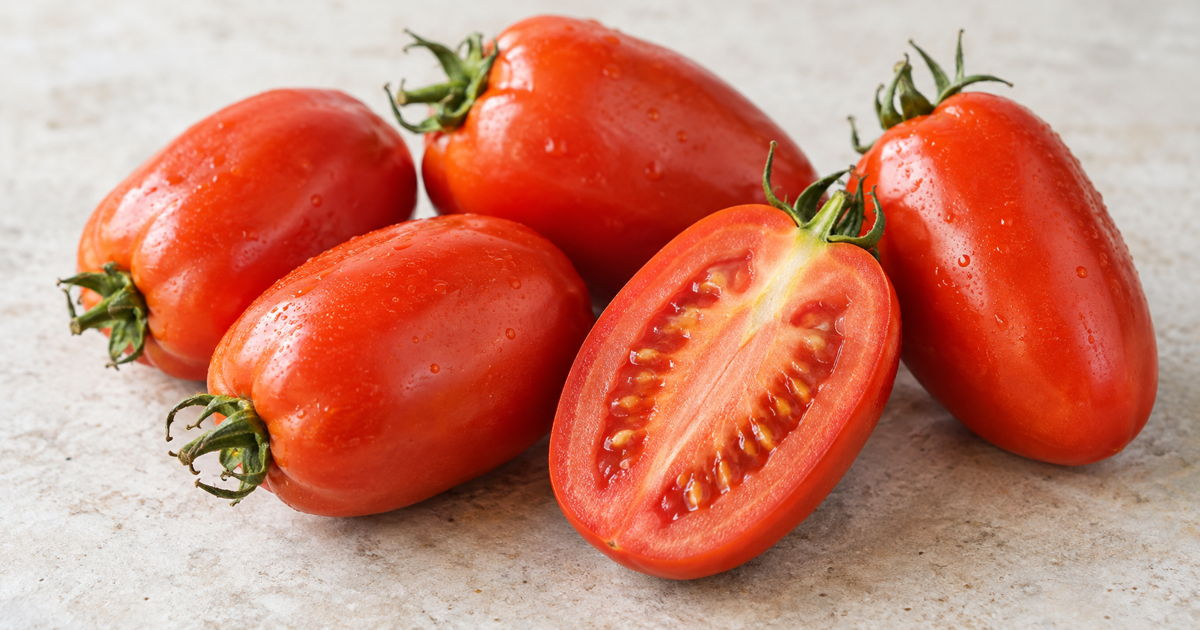 Ripe Roma tomatoes with one tomato sliced lengthwise