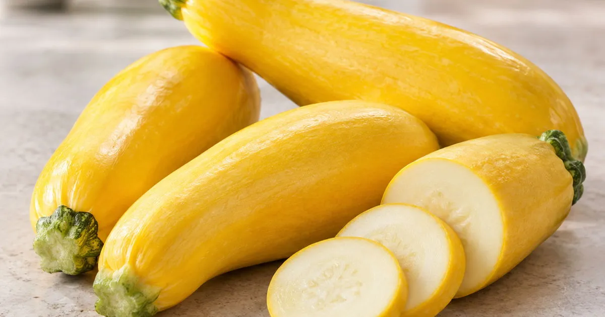 Fresh yellow summer squash with several round slices