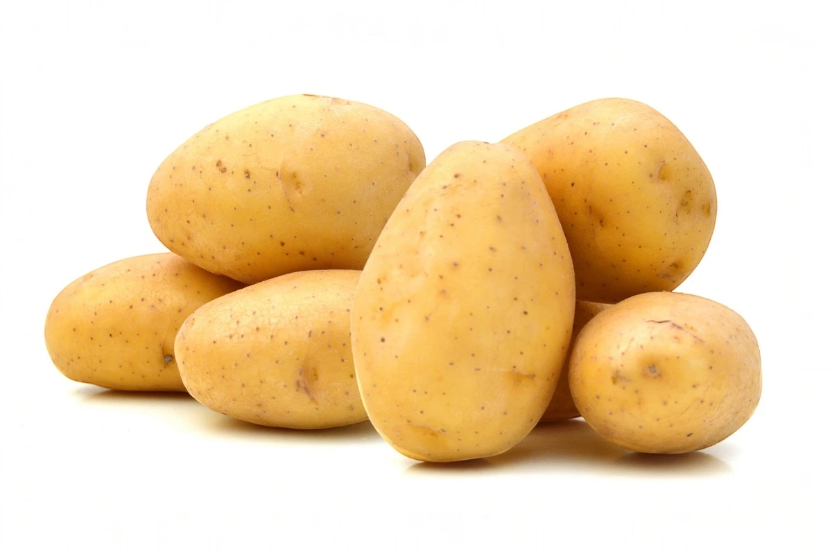 Fresh potatoes ingredient used in cooking and recipes